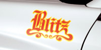 D1 STICKER