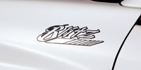 D1 SIDE STICKER